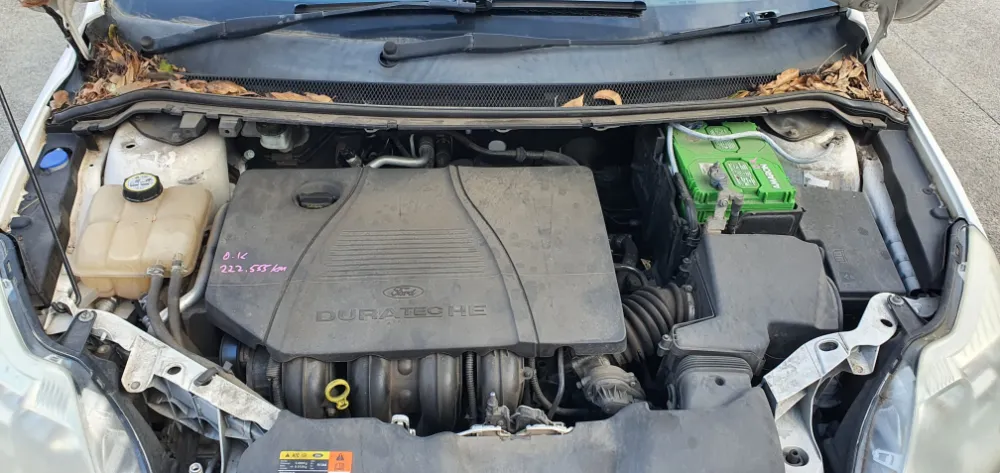 Car Wrecking - Ford Focus