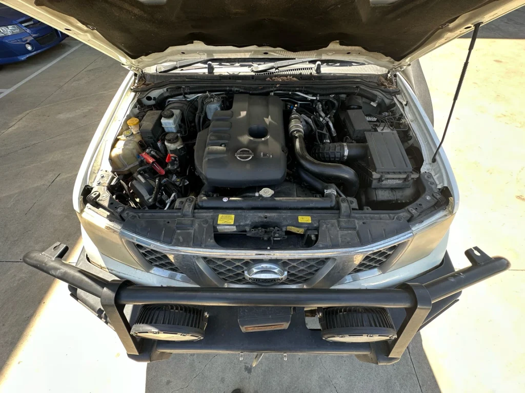 Nissan Navara 2007 White Auto White