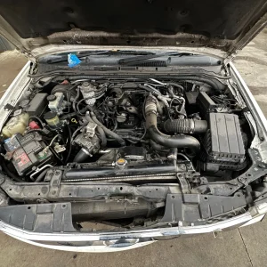 Nissan Navara 2009 White Auto Diesel